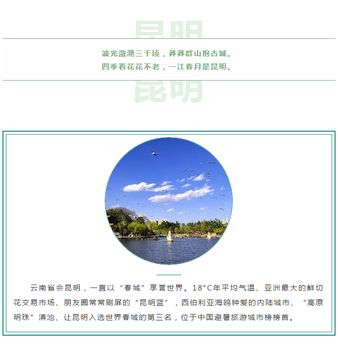 香港免费资料六曲大全