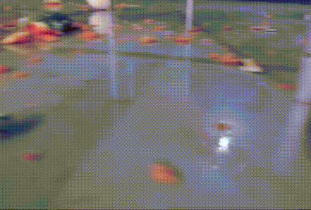 香港免费资料六曲大全