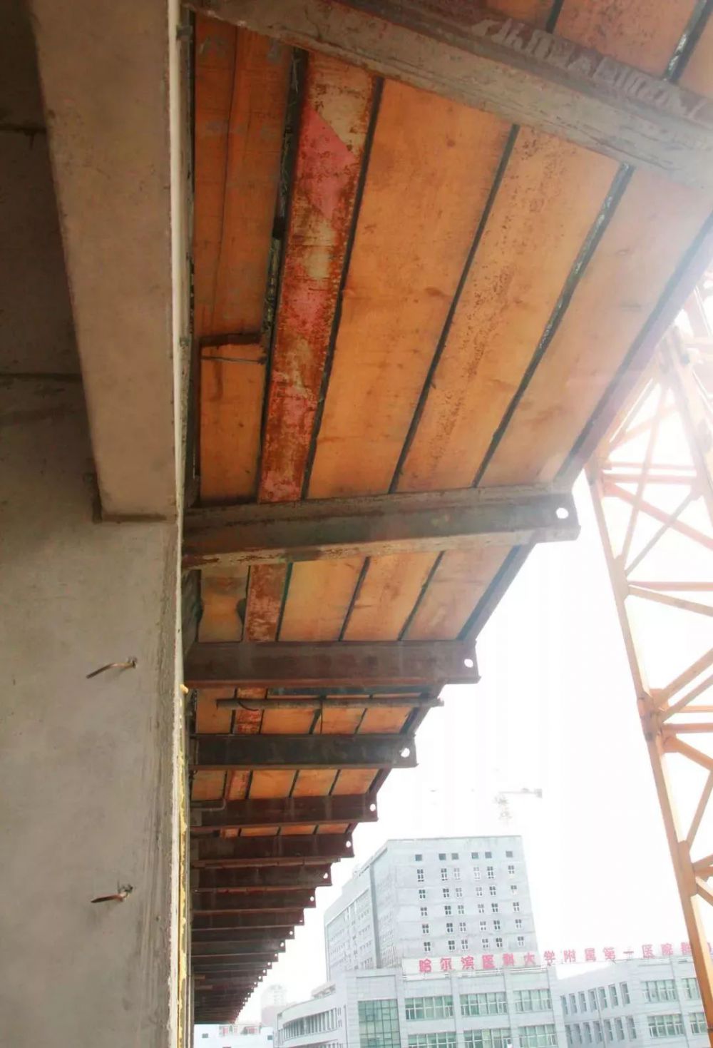 香港免费资料六曲大全