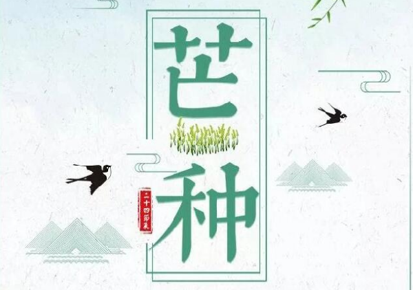 香港免费资料六曲大全